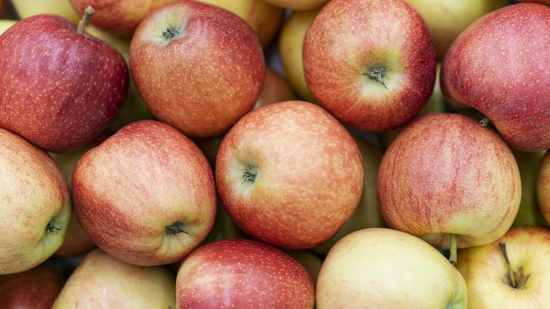 Avec la banane, la pomme figure parmi les fruits les plus consommés en Europe.