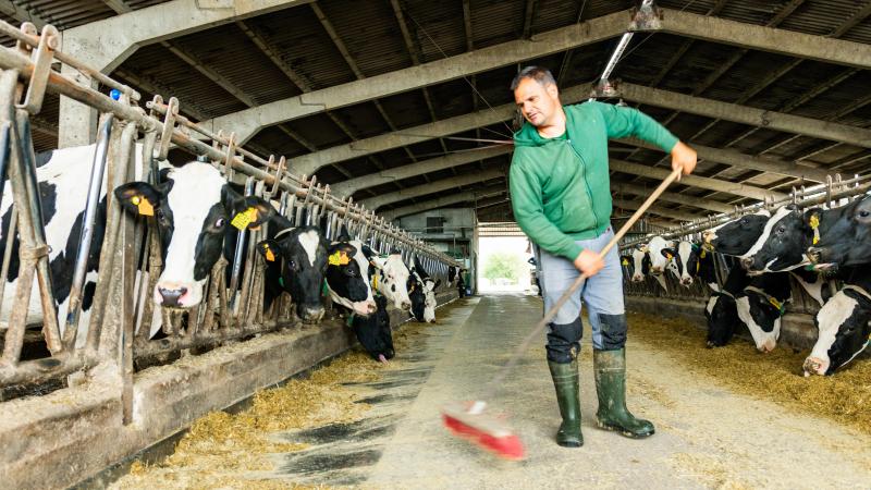 Parmi les facteurs mis en évidence par l’étude,  la charge administrative occupe une place particulière.