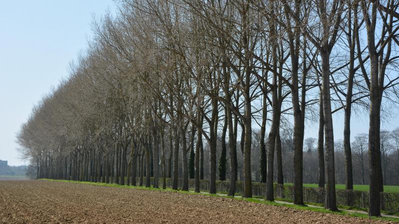 Le bail de fin de carrière n’a pas de durée propre déterminée par la loi.   Celle-ci varie d’un cas à l’autre, selon la situation effective.