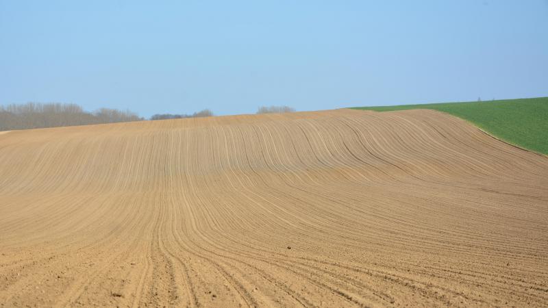 Annoncer dès maintenant les diverses modalités applicables à la nouvelle BCAE 5 doit permettre aux agriculteurs de mettre sur pied les mesures  correctrices nécessaire pour  le 1 er  janvier 2027.