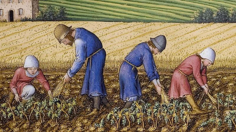 AdobeStock_1204893557