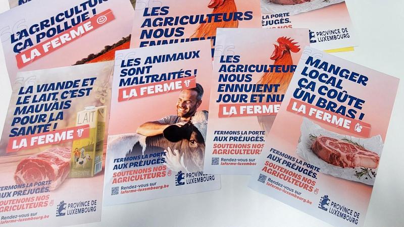 Dans un monde saturé de prises de position rapides et de jugements tranchés, la povince fait le pari qu’une formule brève peut conduire à une réflexion plus longue.