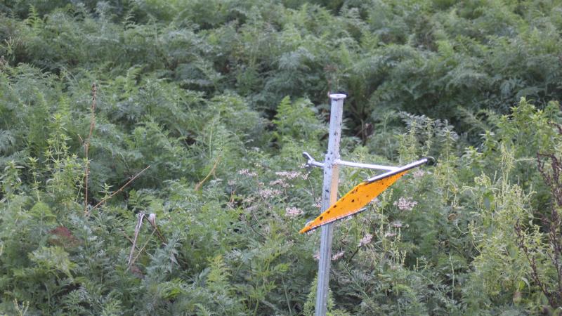 Les espèces animales comme les insectes sont soumises à des équilibres biologiques. Les auxiliaires sont déterminants et le maraîcher peut agir pour favoriser leur présence sur place presque en permanence.