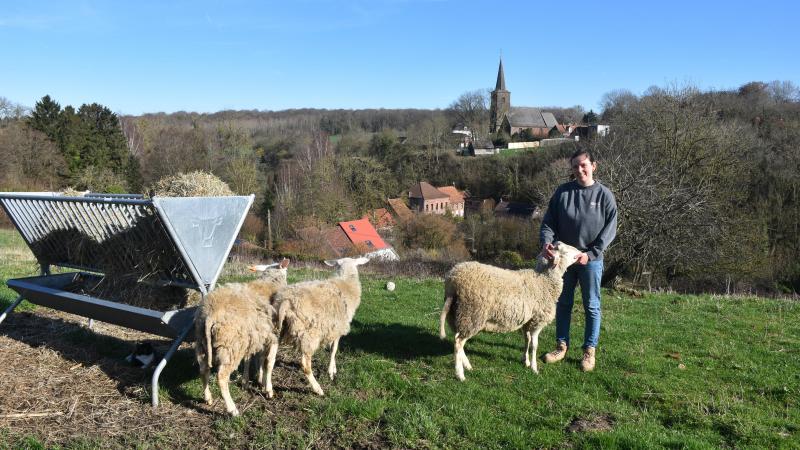 Dans ce Hainaut rural où les collines plient doucement sous le vent, la Bergerie  de Léonie s’est installée sans fracas.