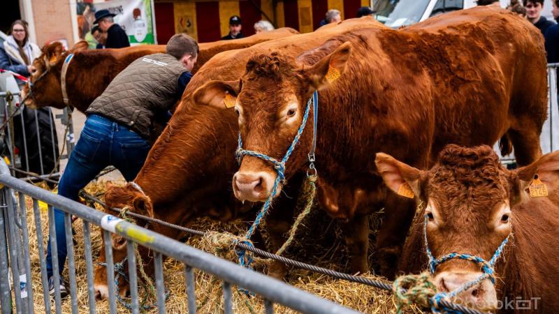 Le temps d’une journée, Le Semeur transforme Louvain-la-Neuve  en une véritable foire agricole.