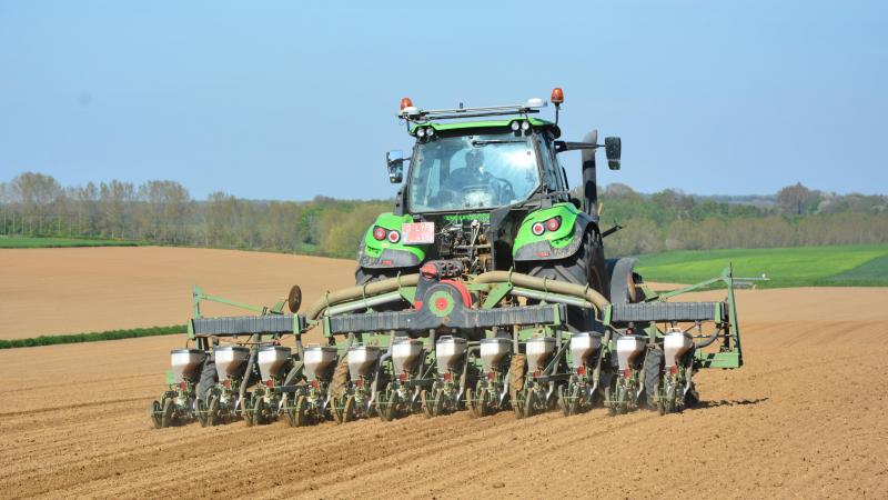 Les semis prendront leur envol à la faveur d’une météo printanière.