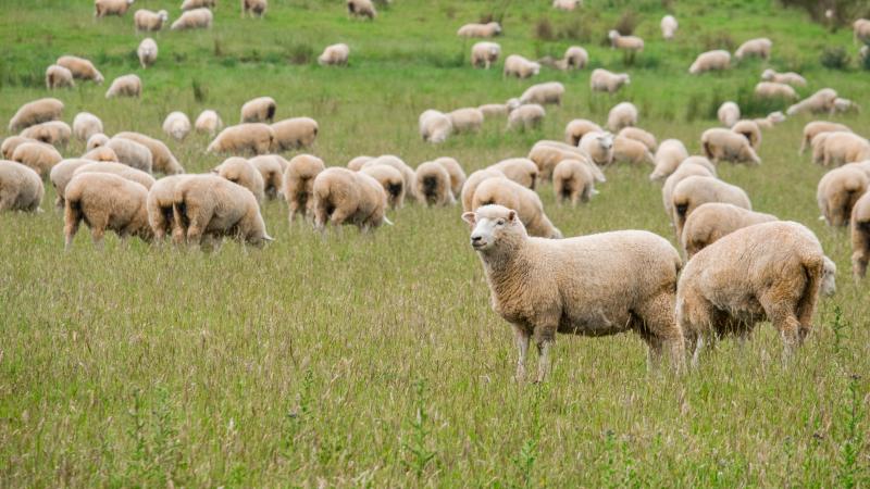 AdobeStock_194794838