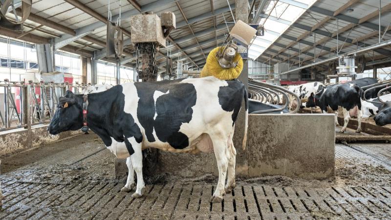 La gestion des risques climatiques, des marchés et des chaînes d’approvisionnement exige un cadre commun robuste.