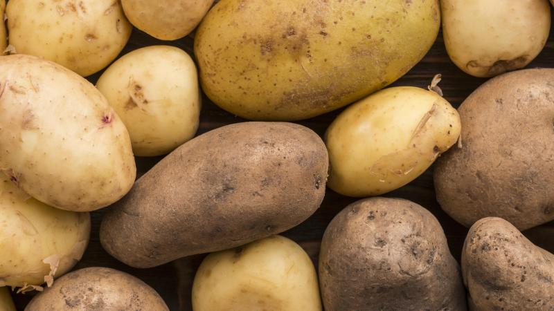 La Bourse aux dons ciblera aussi les cuisines de collectivité.