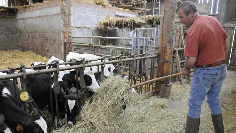 L’agriculture européenne joue également un rôle central dans la bioéconomie,  la transition énergétique ou la gestion des territoires ruraux.