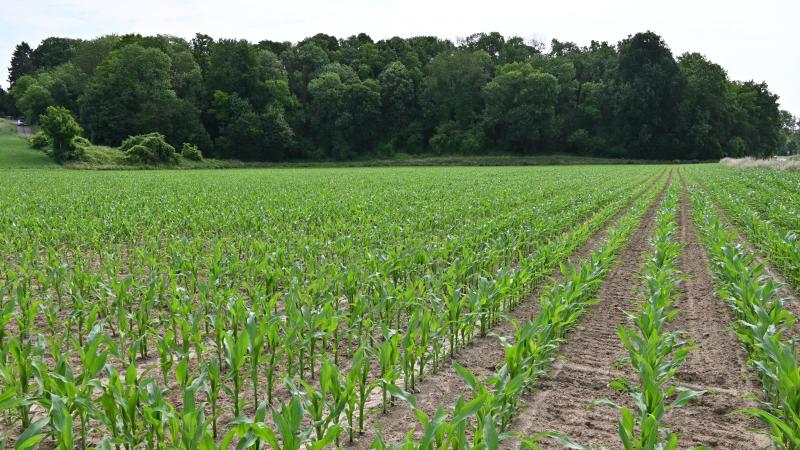 L’éco-régime « Réduction d’intrants » prévoit une prime pour les agriculteurs qui s’engagent soit à ne pas utiliser certaines molécules phytopharmaceutiques.