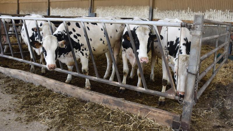 Cette réserve de 200.000 doses de vaccins constitue une mesure de précaution essentielle pour préserver la continuité des activités agricoles.