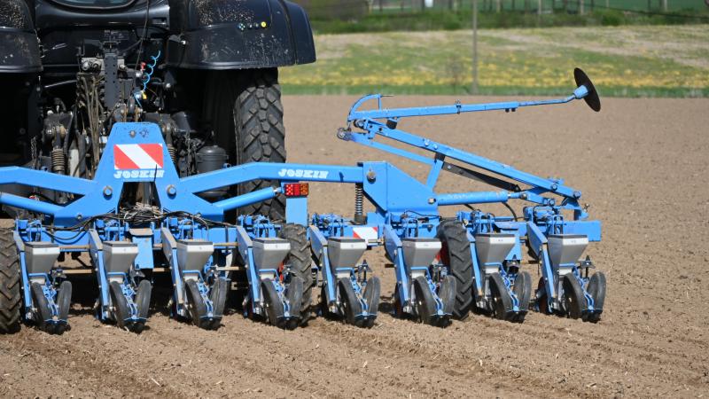 Parmi les moyens de lutte alternatifs testés par l’Irbab, l’association avec l’orge de printemps est la mesure la plus prometteuse, ou du moins celle qui a donné les meilleurs résultats en termes de réduction des pucerons et de la jaunisse virale.