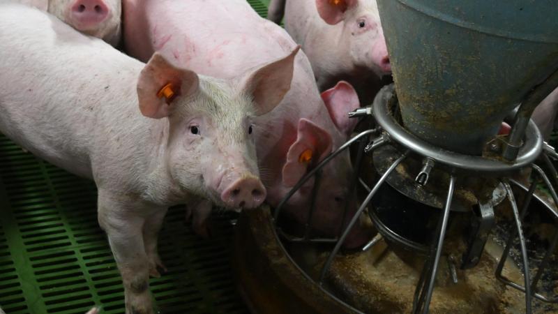 Le secteur poursuit par ailleurs ses efforts en matière d'innovation et de durabilité.