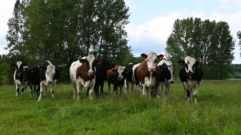 Les canettes et les bouteilles en plastique sont des déchets régulièrement retrouvés dans les champs et prairies. La mise en place de consigne pour ces objets pourrait être une solution afin de limiter cette polution et les dégâts qu’ils causent.