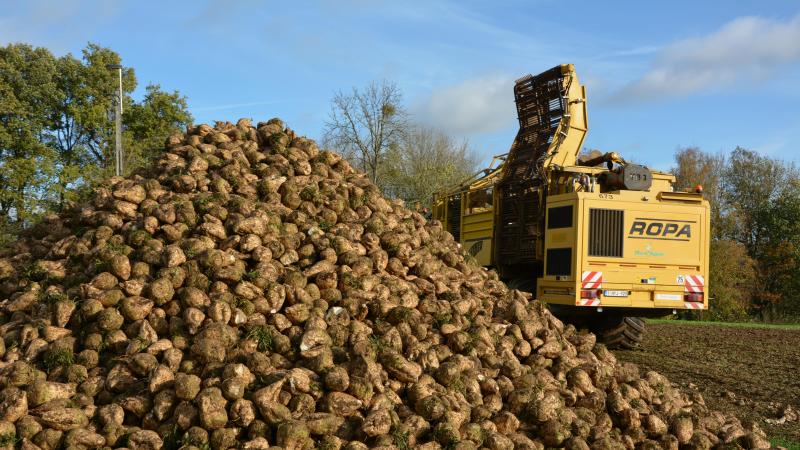 Le perfectionnement actif est un mécanisme douanier européen qui permet d’importer du sucre brut de canne en provenance de pays tiers sans payer de droits de douane, afin de le transformer dans l’UE.