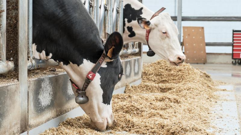 En matière d’alimentation, l’innovation existe, mais elle ne circule pas toujours là où elle serait la plus utile.