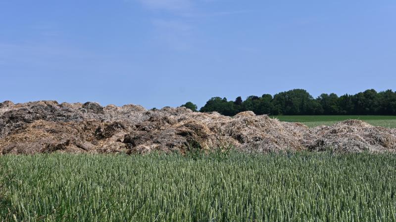 Une analyse précise des engrais de ferme permet d’adapter les apports aux besoins réels des cultures et d’optimiser la fertilisation.