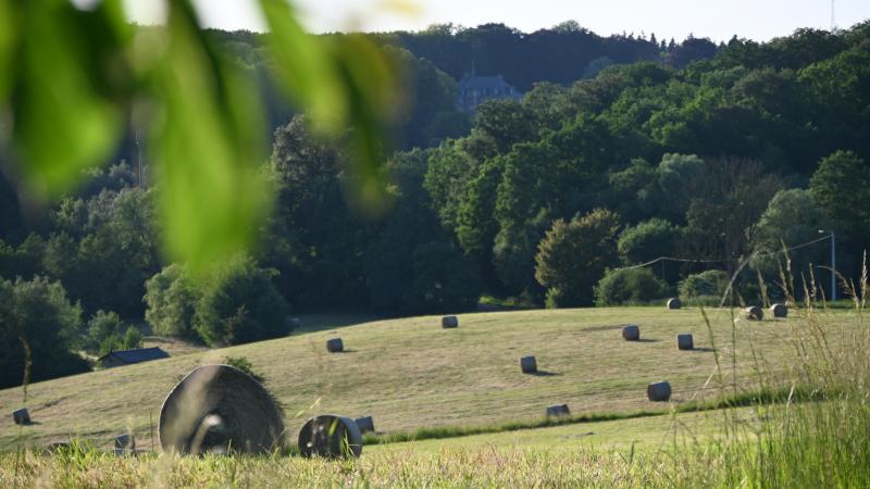 Lorsqu’une parcelle est ajoutée à une exploitation déjà louée, la détermination de sa date de prise de cours peut avoir des conséquences importantes sur les renouvellements et les congés du bail à ferme.