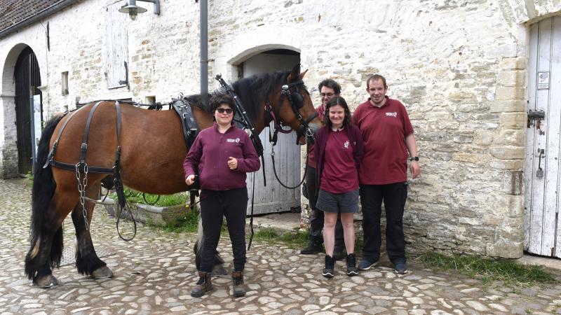 Le cheval impose son rythme, ses contraintes, son calme aussi. Autour de lui se déploie tout un écosystème humain fait de soins, d’attention, de coopération et de transmission.