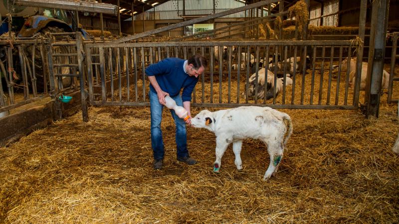 Certains parlementaires plaident pour un renforcement du filet de sécurité européen à travers une révision des prix d’intervention, afin qu’ils reflètent davantage les coûts réels supportés par les producteurs.
