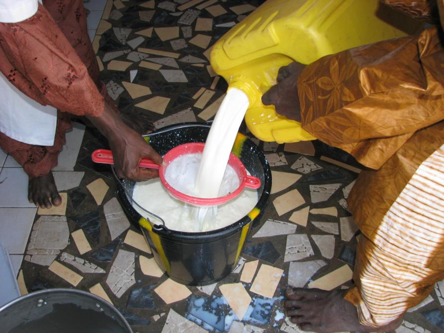 L’organisation de la collecte du lait auprès d’innombrables petits produceurs et sa livraison rapide aux laiteries, sans dégradation qualitative, sont le premier objectif qu’ont atteint les petits éleveurs de la région de Niamey, avec l’appui des ONG. Le vrai grand défi à venir est le développement d’une filière du lait local, aux côtés de la poudre de lait, importée qui, à court et moyen terme, demeure indispensable.