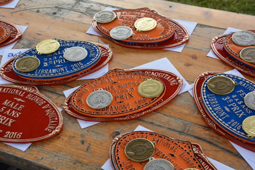 Remporter un prix à Libramont, c’est le rêve de tous les éleveurs conduisant des animaux dans les rings des concours.