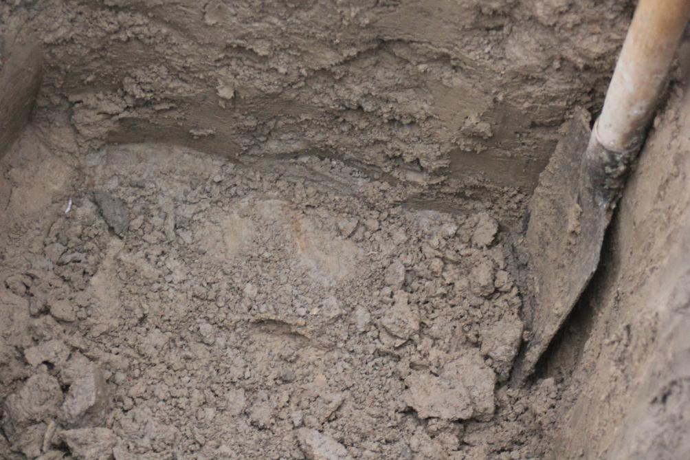 Dans ce puits-ci, les traces évidentes d'oxydation alternée avec la réduction du fer sont bien visibles au milieu de la photo. Nous sommes à 80 cm de profondeur, ce qui correspond bien à la classe de drainage « C » reprise sur la carte pédologique de la zone.