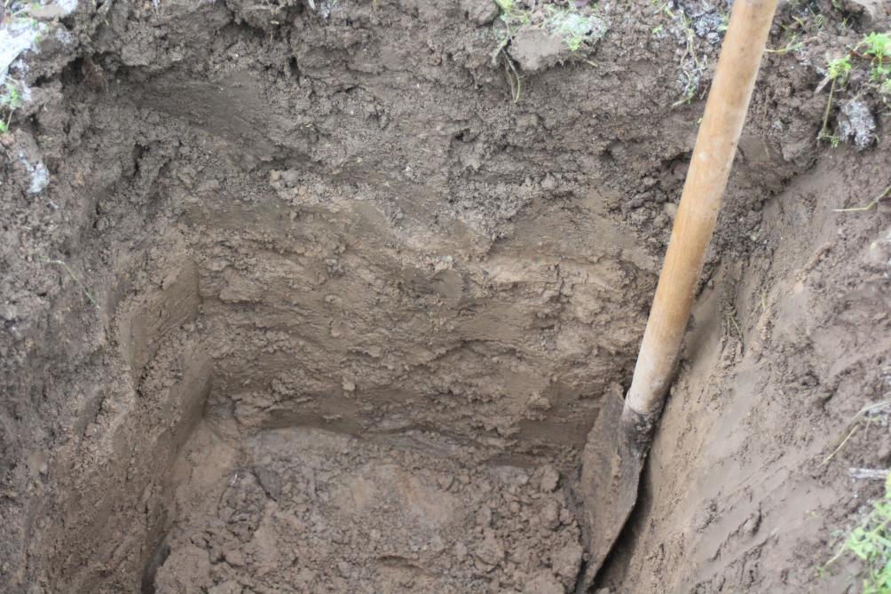 La couche superficielle est plus sombre sous l'effet des matières organiques. Elle a
une épaisseur qui dépend de la profondeur de travail des outils aratoires
utilisés lors des décennies précédentes.