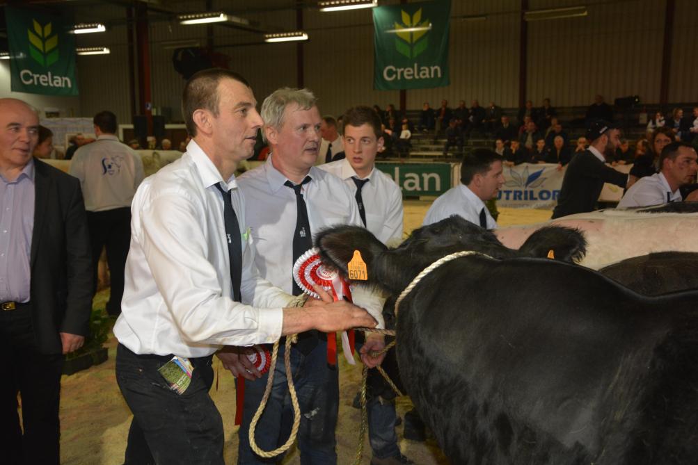 Le concours BBB constituera le moment fort du samedi 2 février. Quelque 130 animaux  pour le rameau viandeux et 40 animaux de type mixte se disputeront les titres  dès 10h à travers plus de 20 séries.