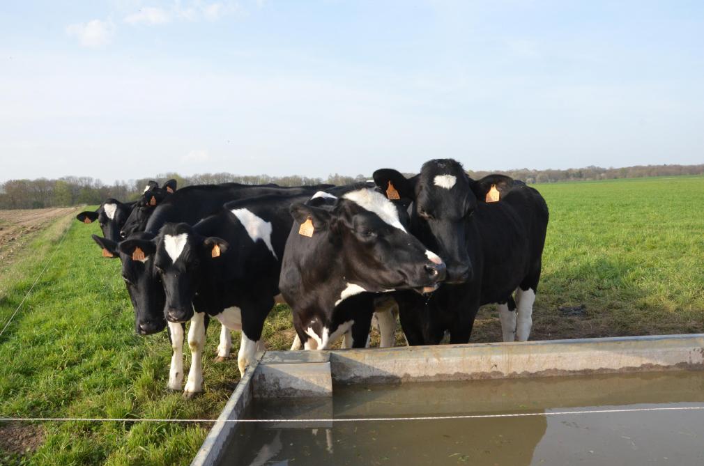 Les dispositions légales du bien-être animal en Wallonie s’inscrivent dans le respect des bonnes pratiques d’élevage, avec une attention particulière aux capacités émotionnelles et sensitives des animaux.