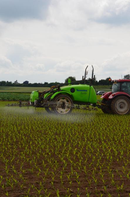 Les conditions météorologiques idéales pour une bonne absorption des herbicides par les plantes cibles se présentent généralement plutôt le matin.