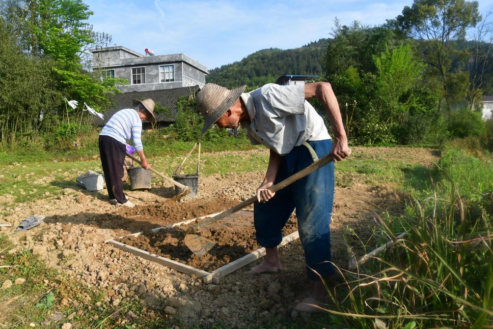 Préparation d’une pépinière de maïs doux par un couple de paysans très âgés, dans le village de Nongyuan. Du grand art qui force l’admiration dans une région qui fait aujourd’hui l’objet d’une politique de lutte contre la pauvreté en zones rurales.