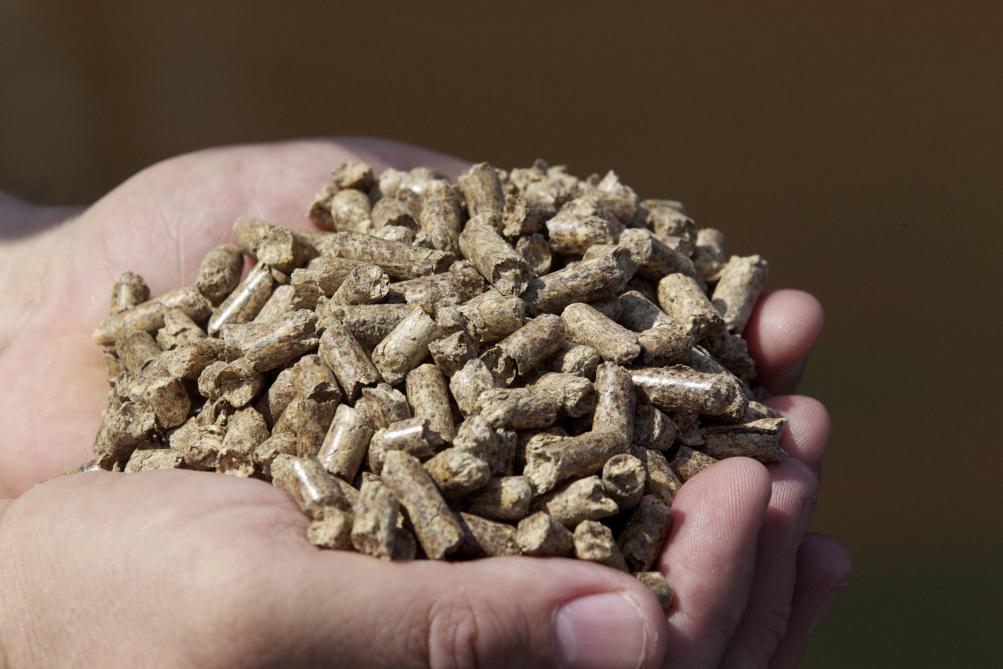 Les granulateurs, ou producteurs de pellets, deviennent des acteurs de premier plan de la filière bois.