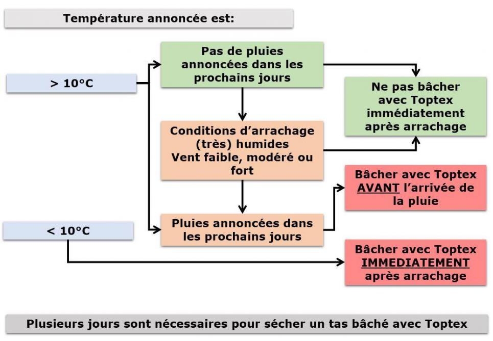 Figure 1: arbre décisionnel lié à la pose des bâches de type Toptex; il convient toutefois de respecter les accords interprofessionnels liés au bâchage.