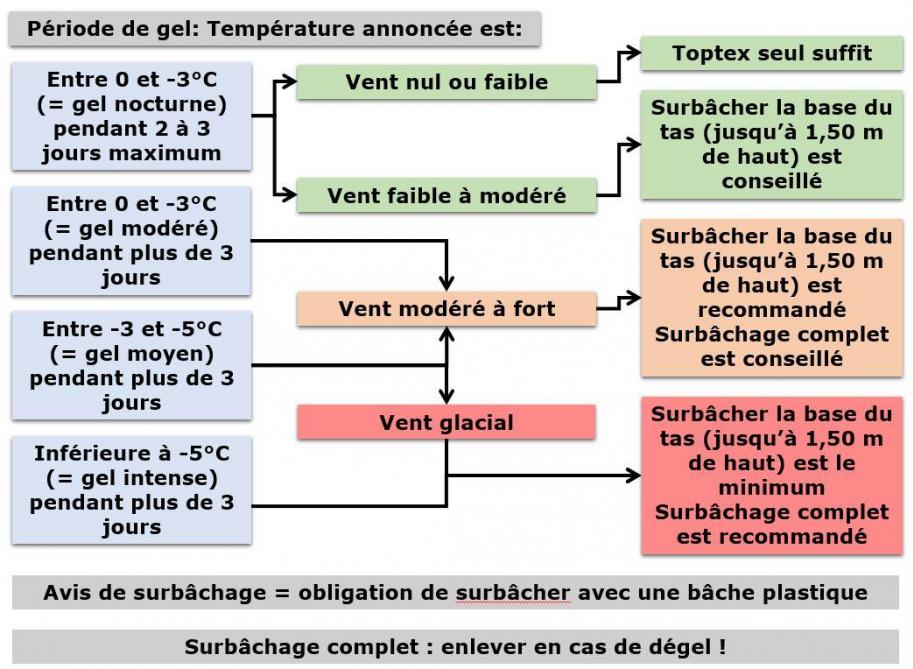 Figure 2: arbre décisionnel lié à la protection contre le gel. Il est conseillé de suivre la météo et les avertissements de bâchage contre le gel émis par l’Irbab et les sucreries.