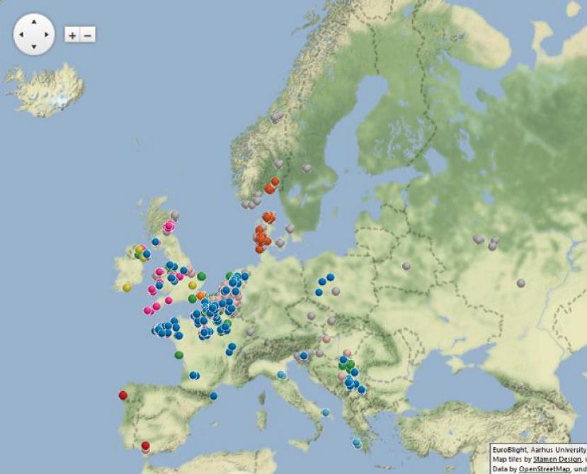 Figure 1: cette carte de l’Europe révèle les résultats de l’identification des souches en 2018, basés sur l’analyse de 979 échantillons prélevés dans 23 pays. Chaque «spot» représente  un site de prélèvement et chaque couleur correspond à un génotype (famille- précis  de mildiou. Les analyses génotypiques des souches analysées ces dernières années  montrent une évolution des populations de mildiou en Europe et en Wallonie.