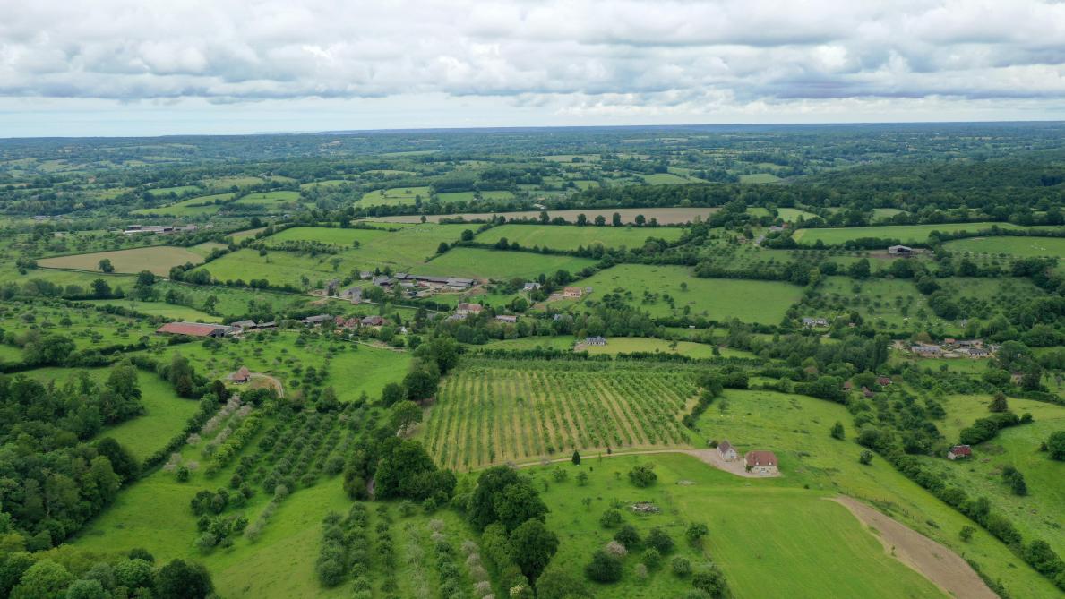 Contrairement à l’espace urbain qui a tendance à s’homogénéiser, il y a autant de paysages agraires que d’agriculture. La campagne garde des identités propres et différentes en fonction des régions», explique le géographe.