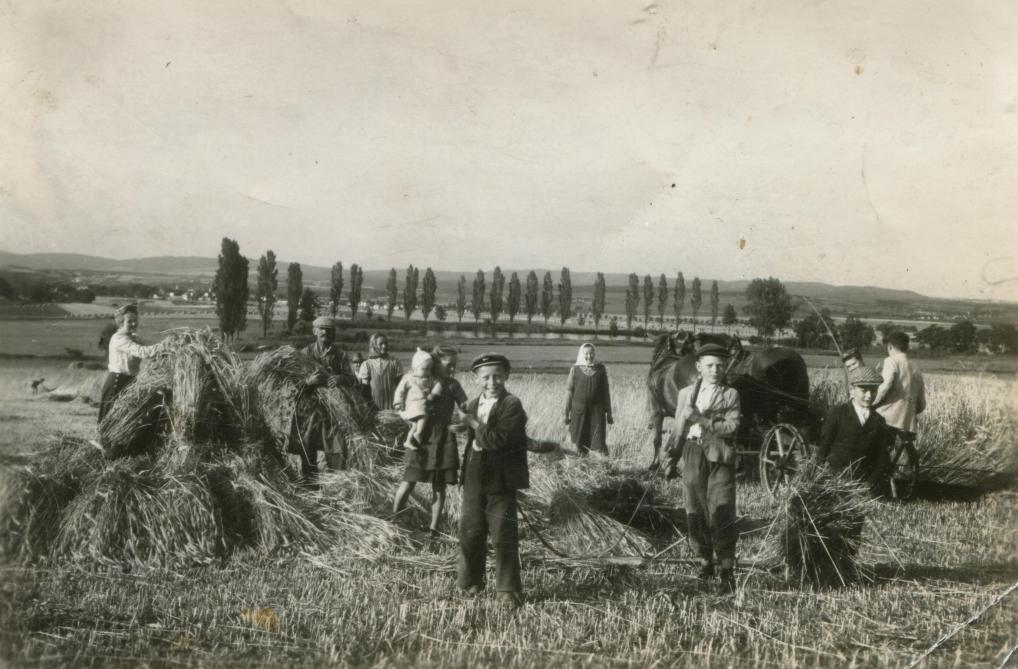 Les gens viennent souvent chercher à la ferme des éléments qui tiennent de la ruralité, des représentations typiques du monde agricole qui relèvent du passé et que la campagne a perdues.