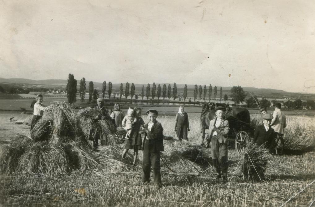 Les gens viennent souvent chercher à la ferme des éléments qui tiennent de la ruralité,  des représentations typiques du monde agricole qui relèvent du passé et que la campagne a perdues.