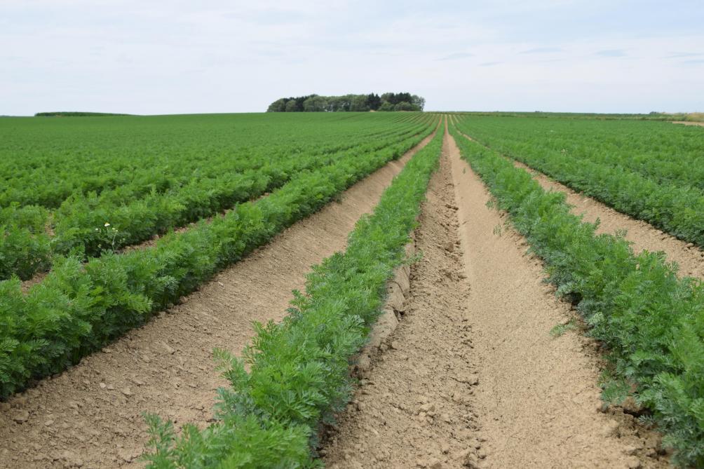 Si certains contrats conclus entre un agriculteur et un représentant de l’agro-industrie peuvent être défavorables au premier nommé, il est important de rappeler  qu’il n’en va pas de même pour tous les contrats et toutes les sociétés.