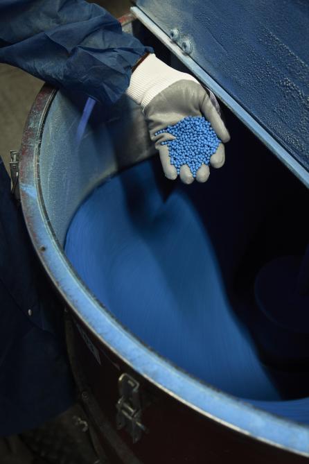 En fin de production, les semences reçoivent une pellicule bleue, caractéristique de SESVanderHave.
