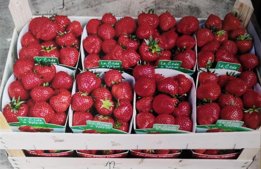 De belles et bonnes fraises de Wépion.