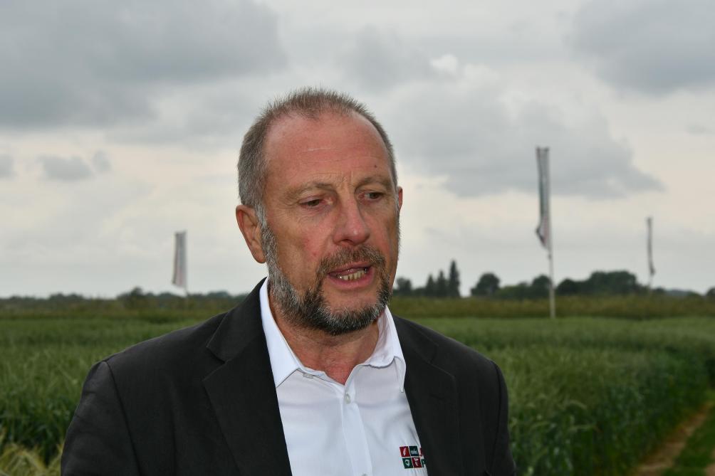 Benoît Sneessens: «En escourgeon, les innovations de 2019 sont majoritairement confirmées dans les disponibilités pour les semis de l’automne prochain.»