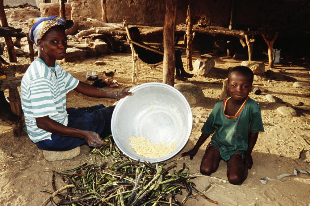 La Fao a lancé un nouvel appel de fonds pour répondre aux besoins croissants du secteur de l’alimentation et de l’agriculture dans 27 pays en souffarnce, dont fait partie le Burkina Faso, Etat d’Afrique de l’Ouest parmi les plus pauvres dans le monde.