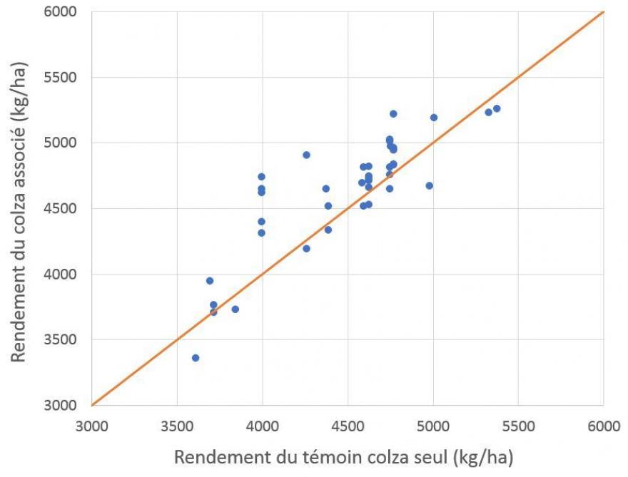 Figure 1: comparaison des rendements entre le colza «associé» et le colza cultivé «seul», 2012-2018.