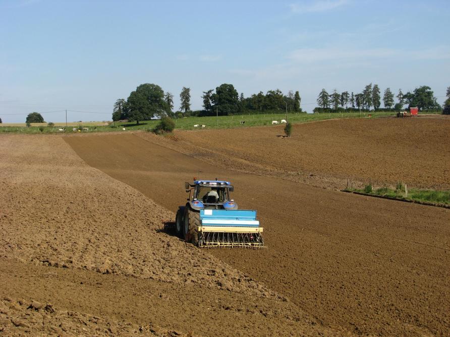 La période recommandée pour le semis de l’escourgeon se situe de fin septembre à début octobre.