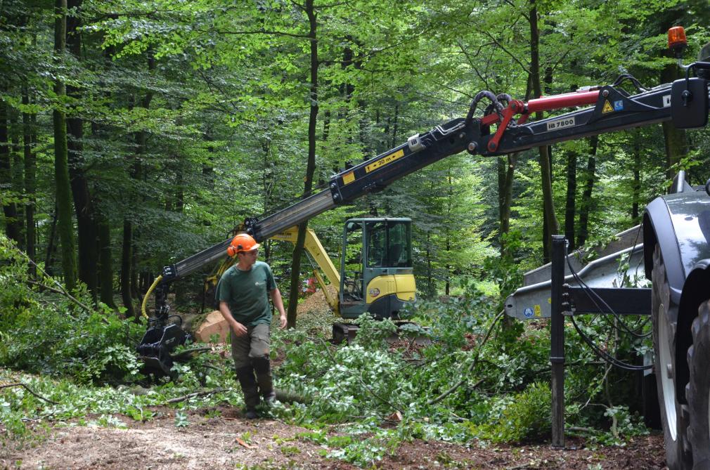 Les Propriétaires ruraux sonnent l’urgence de sauver la forêt wallonne et d’assurer un avenir à la filière forêt-bois «qui offre des emplois locaux à près de 19.000 personnes».