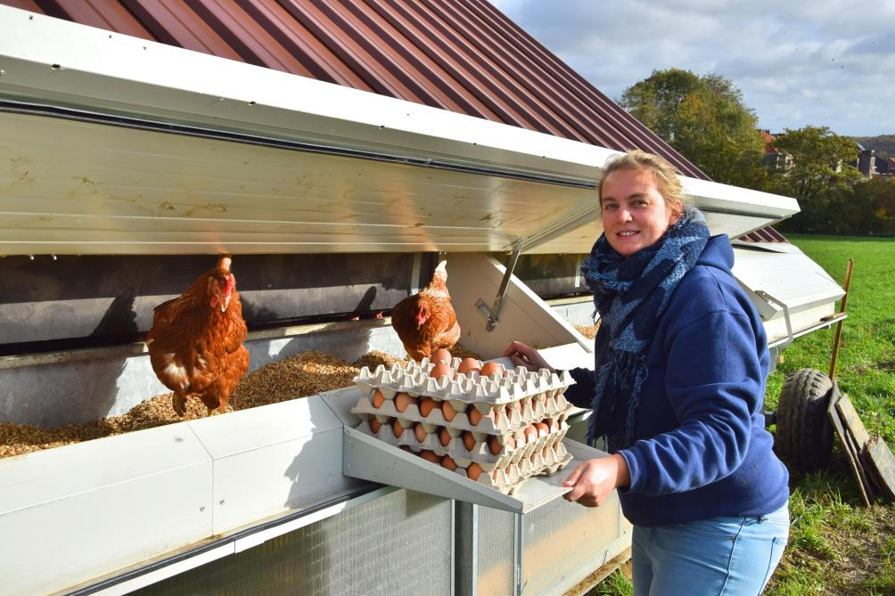 Marie passe deux à trois fois par jour aux poulaillers, pour la collecte des œufs, la fermeture des pondoirs et la surveillance.