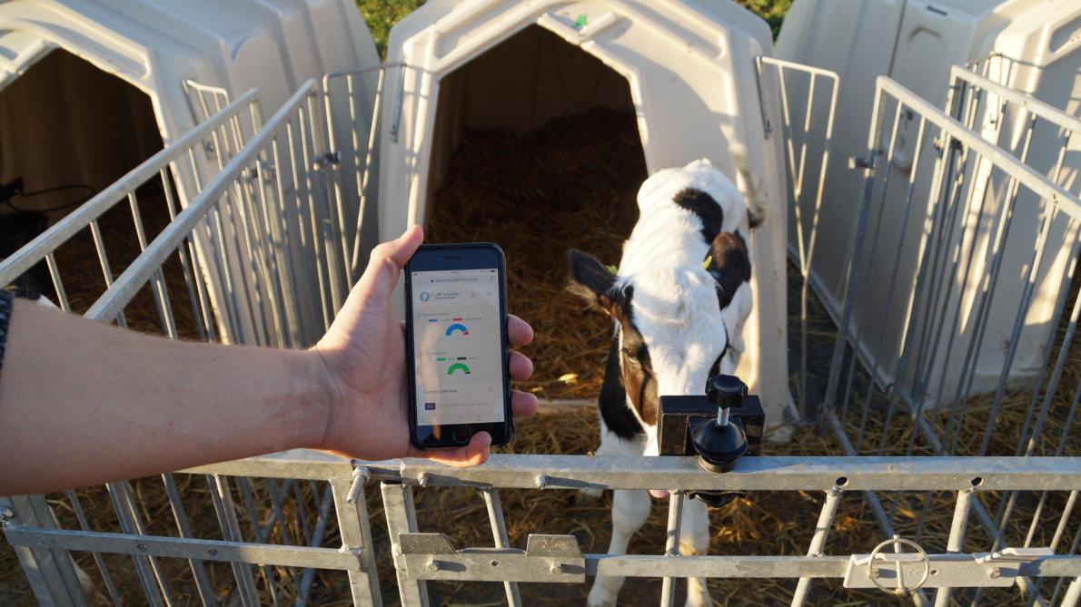 Le calf monitoring system permet à l’éleveur de surveiller en continu la santé de chaque veau et de disposer de ces informations rapidement.